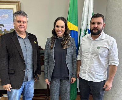 reunião deputada maria victoria