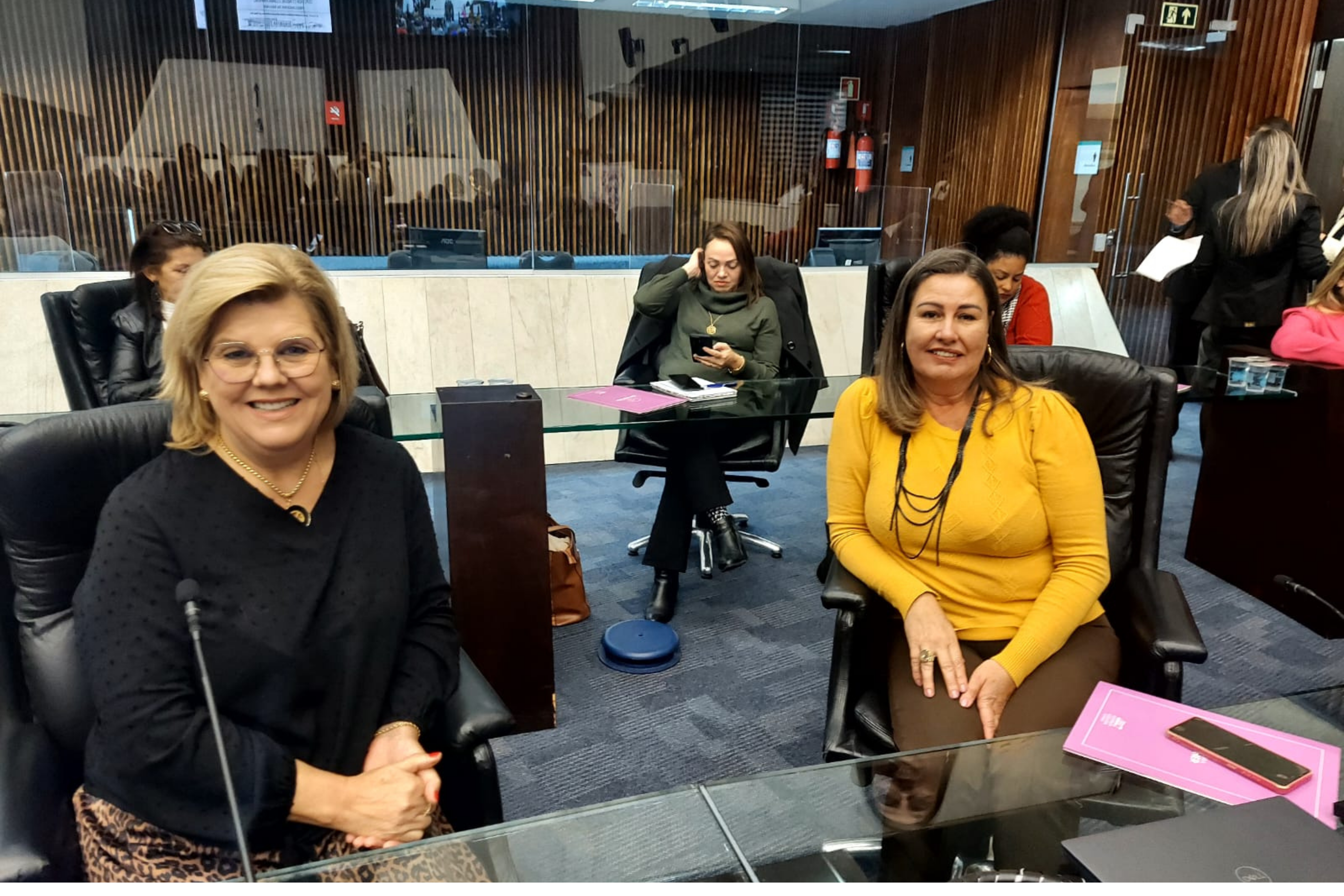 4º Encontro das Procuradorias Especiais da Mulher do Estado do Paraná.